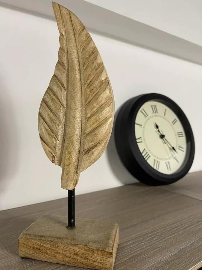 Peacock Studio Năvodari Eksteriør billede